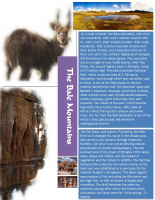The Bale mountains .pdf